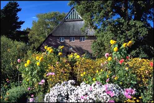 Arboretum 4