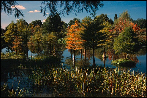 Arboretum 7
