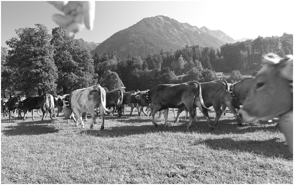 Ankunft am Sammelplatz am Renksteig in Oberstdorf