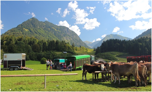 Die Anhänger sind zum Abtransport geöffnet.