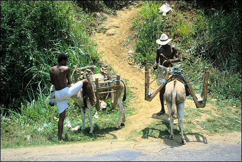 On Bahia roads