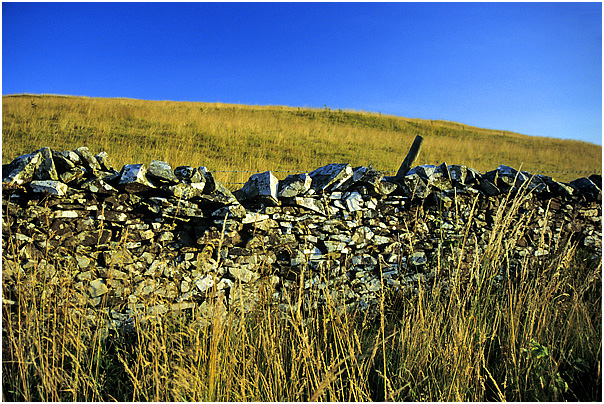 Drystone walls are a familiar feature of the Borders landscape
